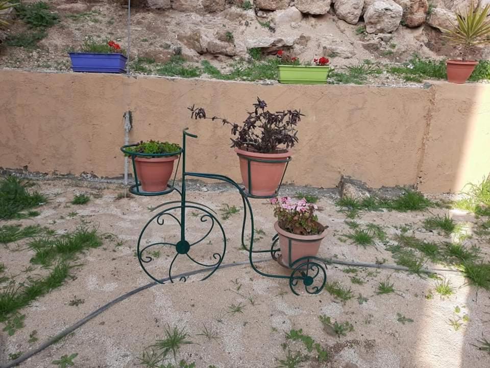 Emile Altwal Madaba Hotel ภายนอก รูปภาพ